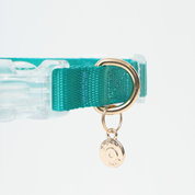 Ollie Walkies: Aero Paw - Collar and Leash  - Emerald