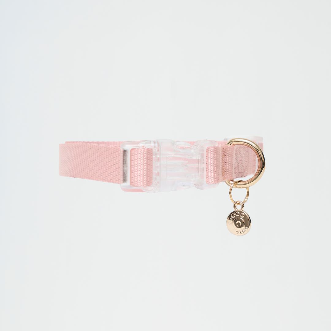 Ollie Walkies: Aero Paw - Rose Quartz (Collar)