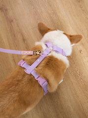 Ollie Walkies Classic - Harness and Leash Set: Lilac
