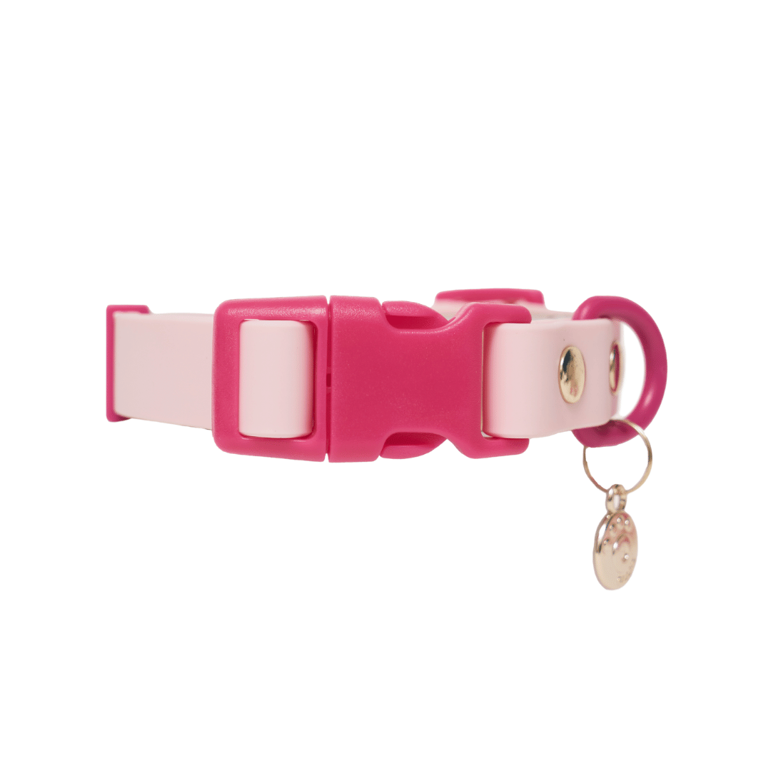 Ollie Walkies: Classic - Hot Pink (Collar)