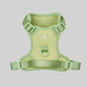 Ollie Walkies: Body Harness - Light Green
