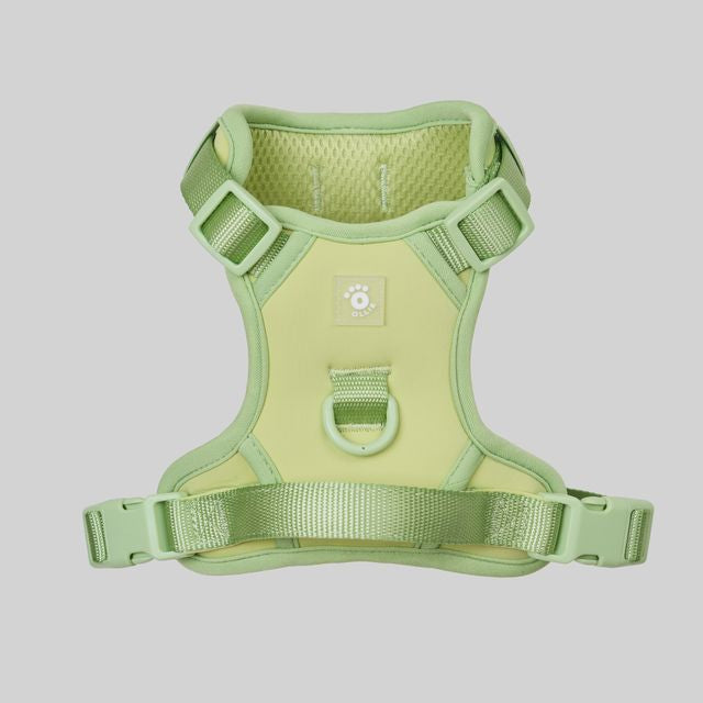 Ollie Walkies: Body Harness - Light Green