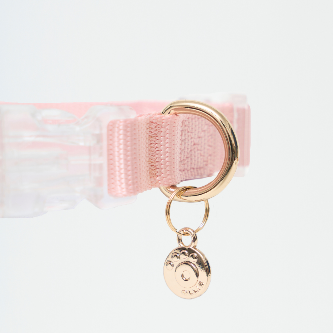 Ollie Walkies: Aero Paw - Collar and Leash  - Rose Quartz