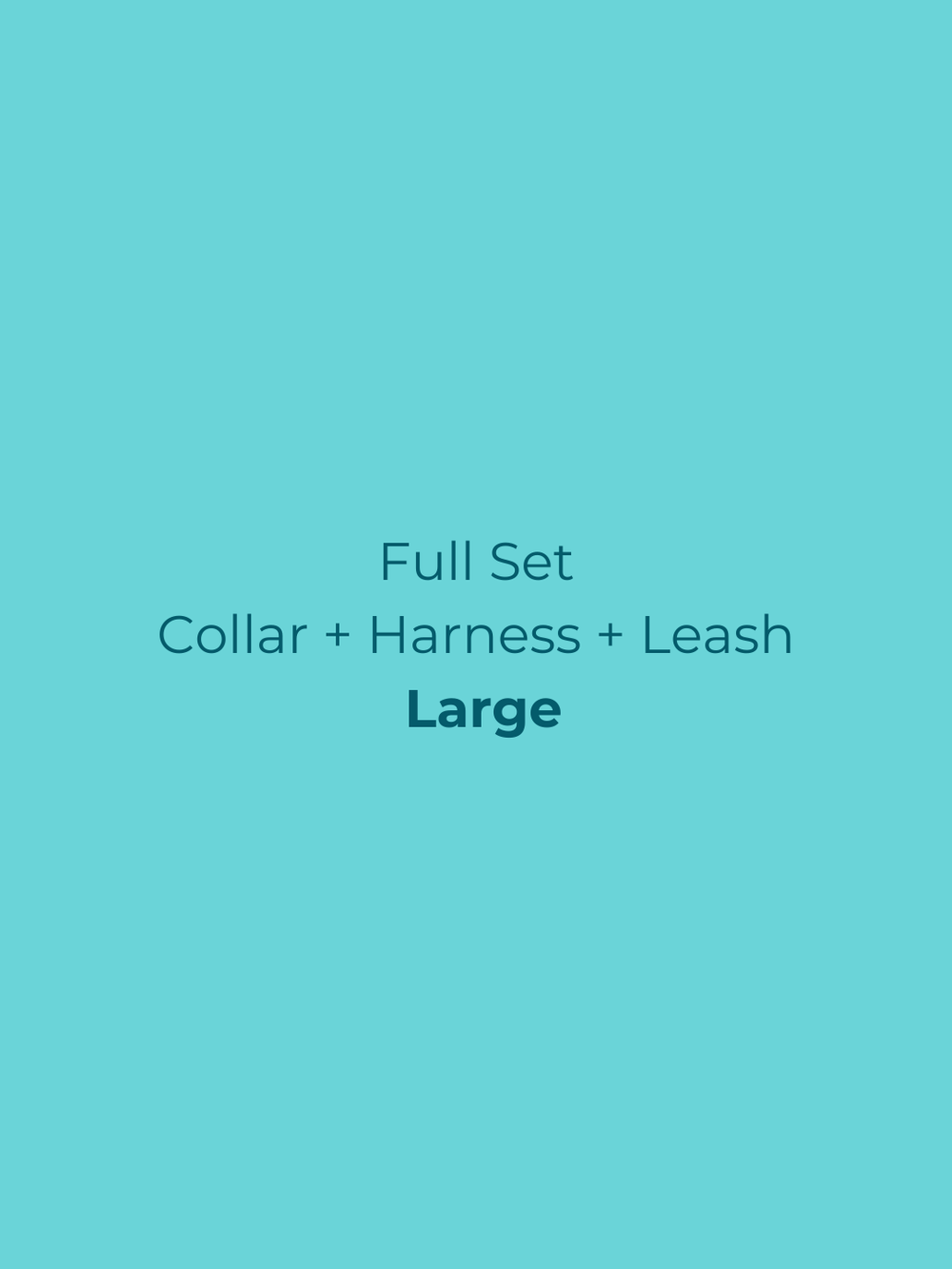 Ollie Walkies Classic - LARGE - Full Set (Collar, Harness and Leash Set): Aqua