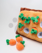 Carrot Garden - Toy