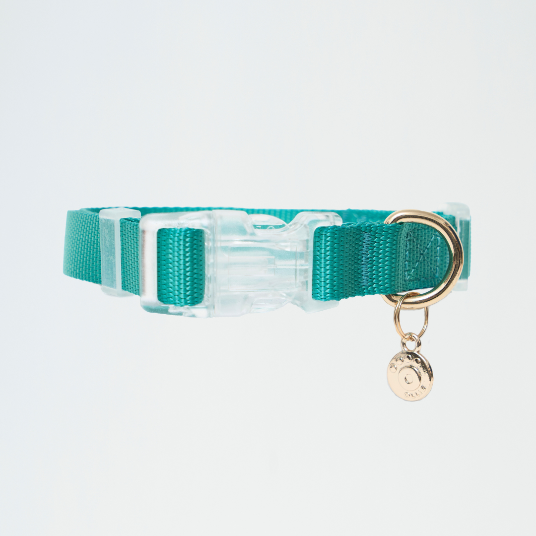 Ollie Walkies: Aero Paw - Collar and Leash  - Emerald