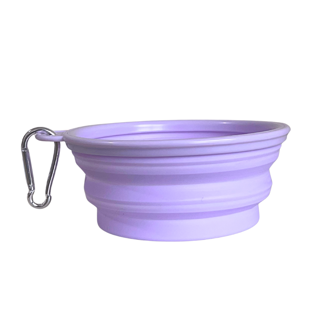 Ollie: Pop-Up Bowl