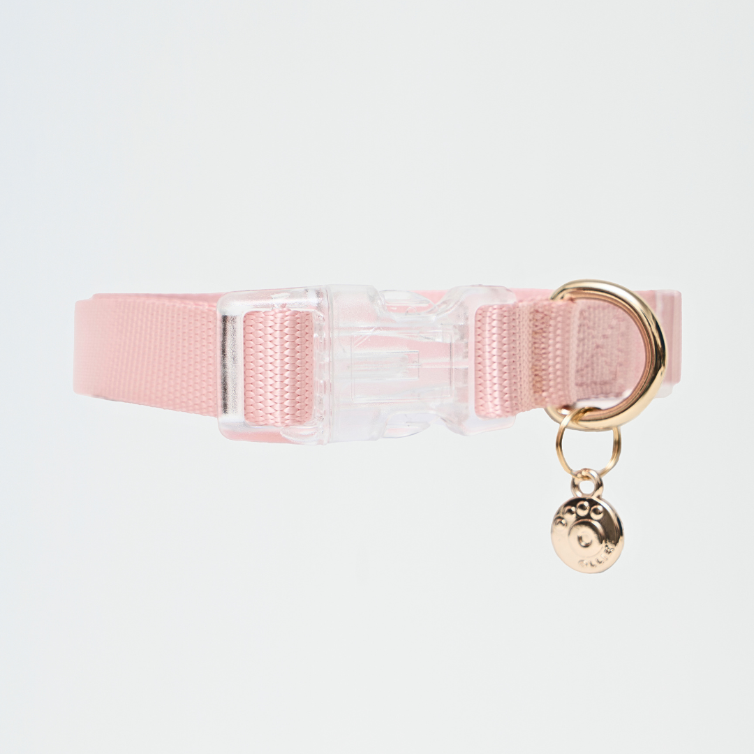 Ollie Walkies: Aero Paw - Rose Quartz (Collar)