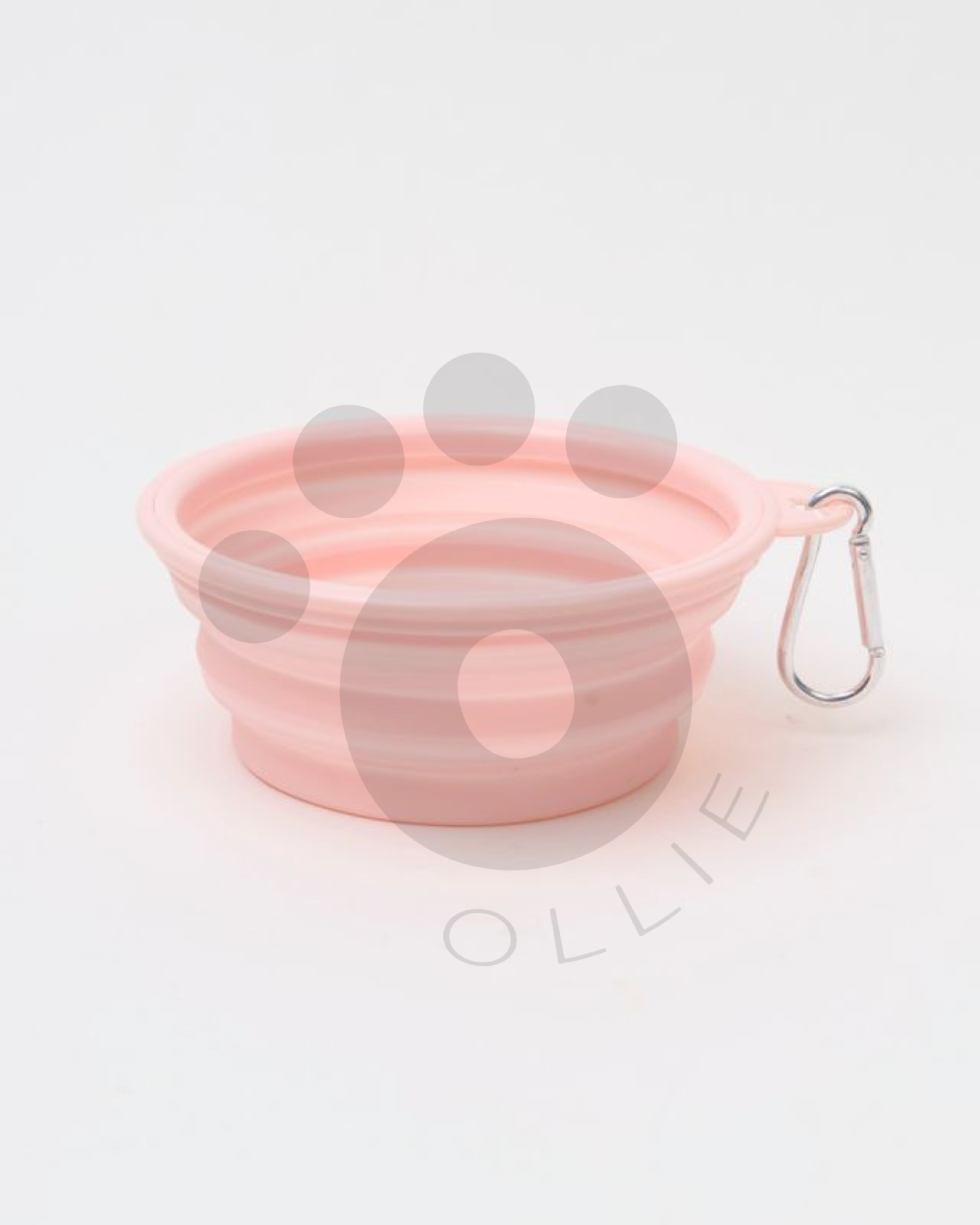 Ollie: Pop-Up Bowl