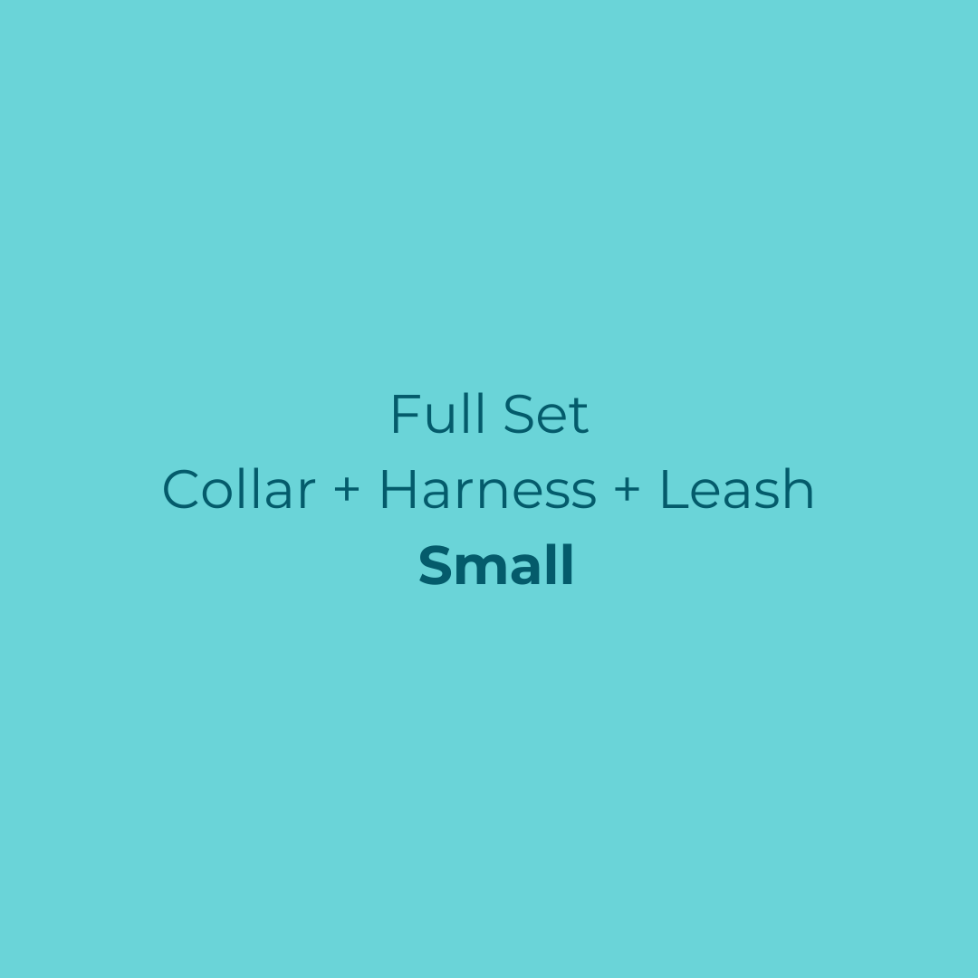 Ollie Walkies Classic - SMALL - Full Set (Collar, Harness and Leash Set): Aqua