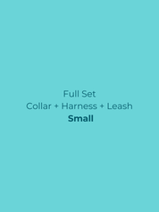 Ollie Walkies Classic - SMALL - Full Set (Collar, Harness and Leash Set): Aqua