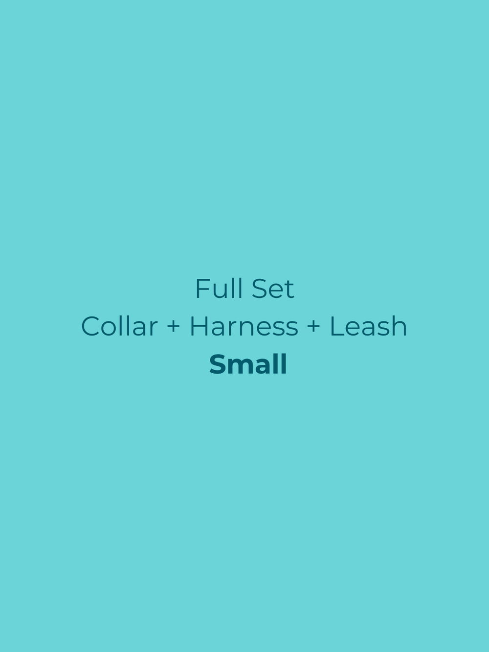Ollie Walkies Classic - SMALL - Full Set (Collar, Harness and Leash Set): Aqua