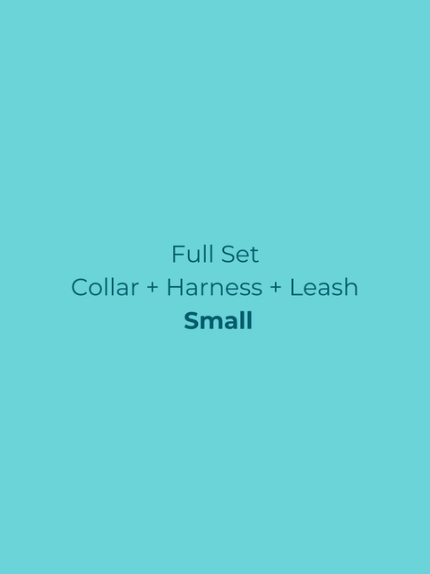 Ollie Walkies Classic - SMALL - Full Set (Collar, Harness and Leash Set): Aqua