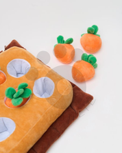 Carrot Garden - Toy