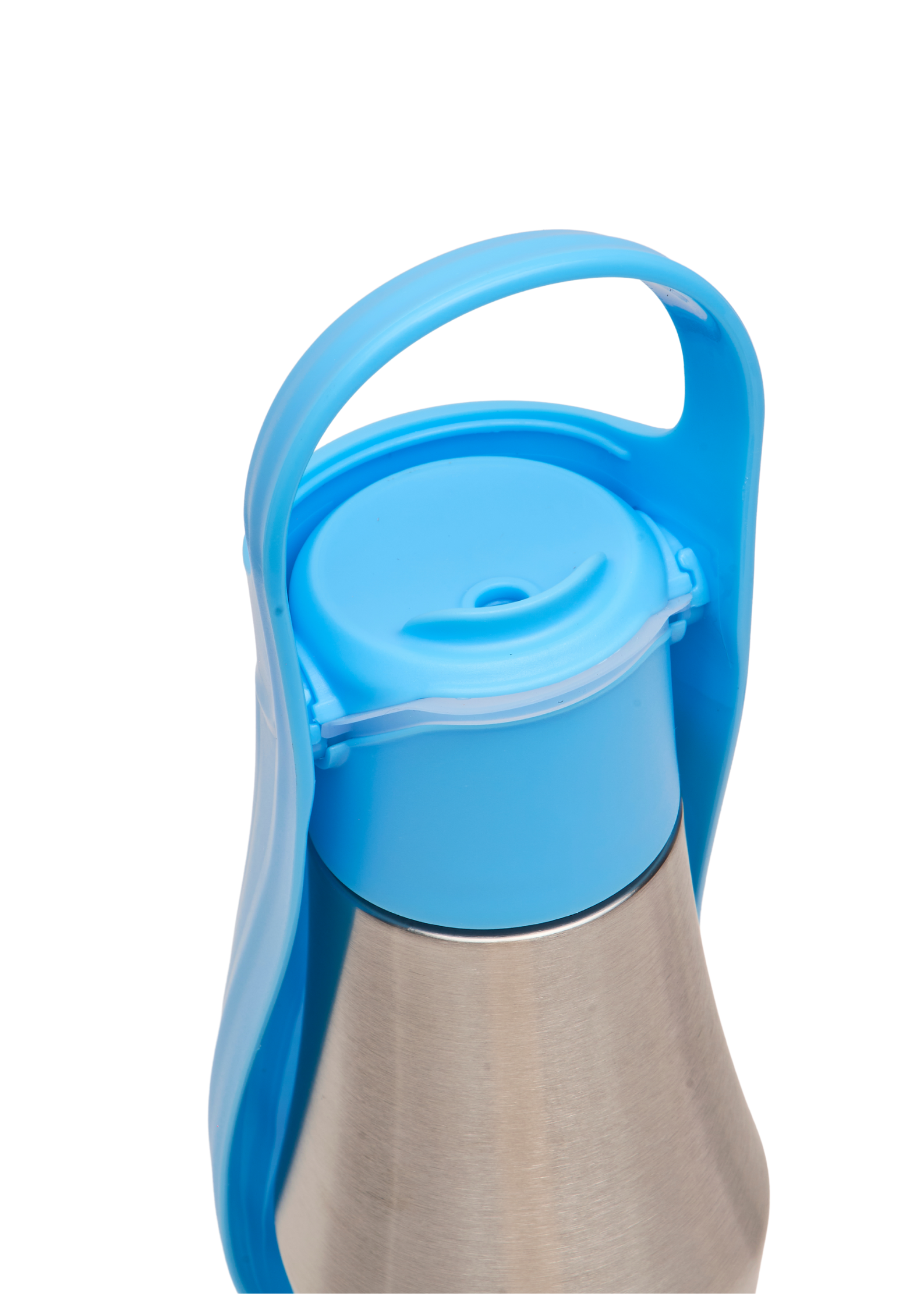 Ollie Dog Water Bottle: Green