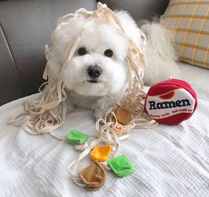 Ramen Bowl - Toy