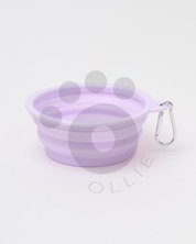 Ollie: Pop-Up Bowl