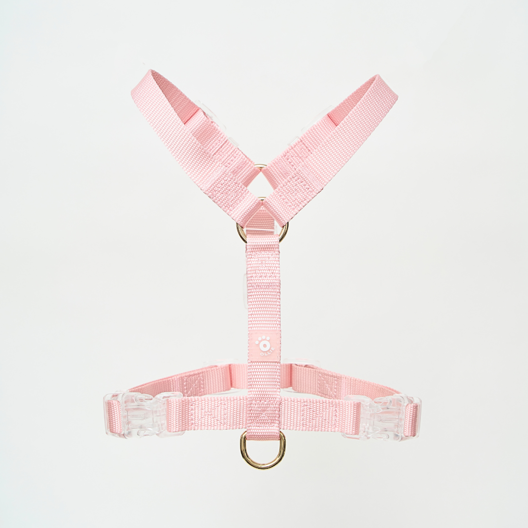 Ollie Walkies: Aero Paw - Harness and Leash Set - Rose Quartz