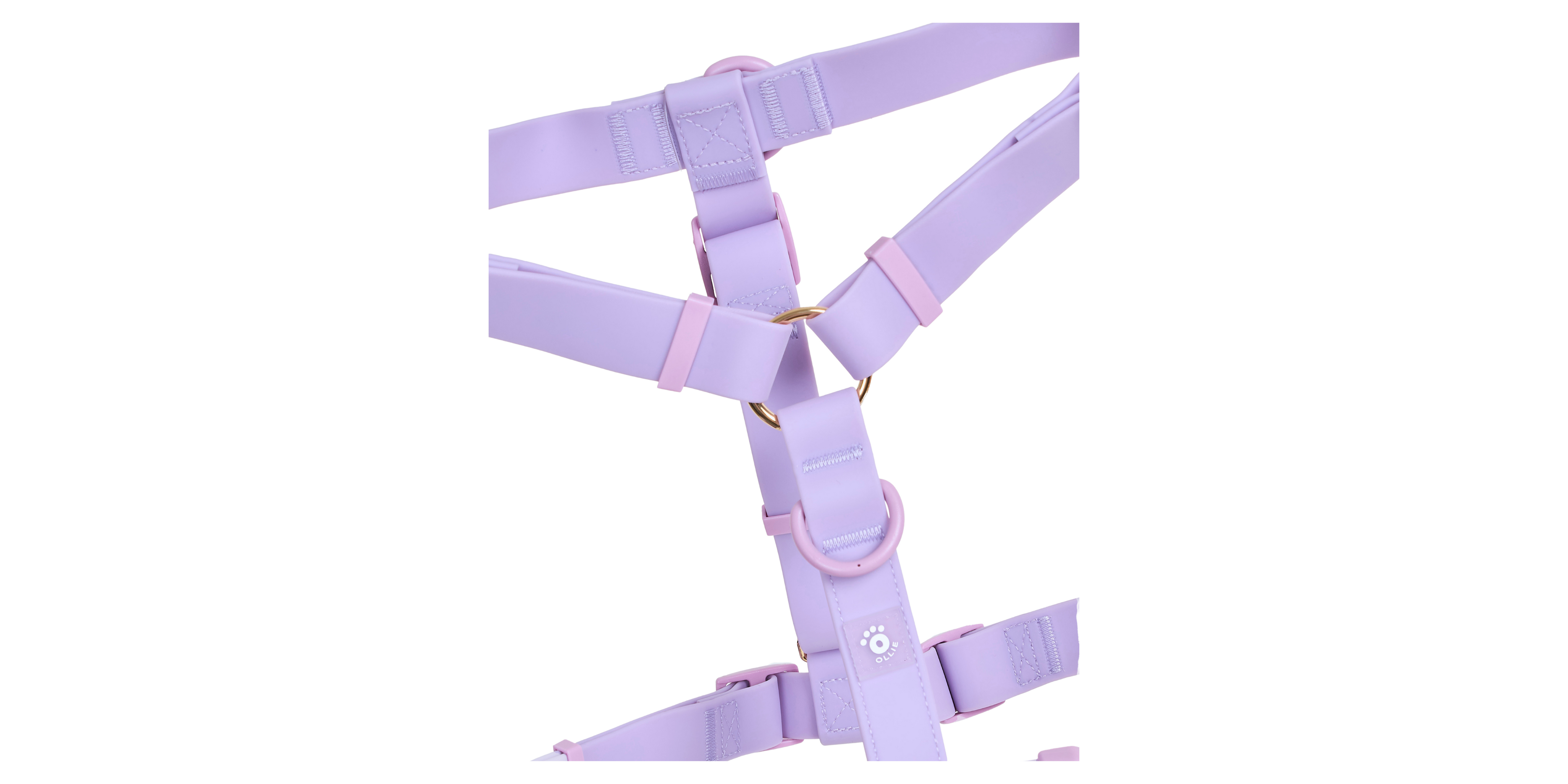 6_cce5a420-5933-4153-a7d6-79d478639768.png