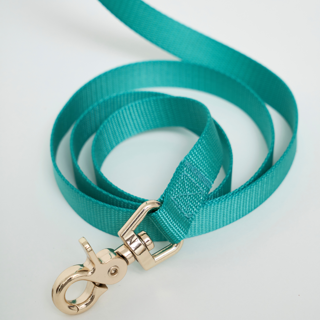 Ollie Walkies: Aero Paw - Collar and Leash  - Emerald