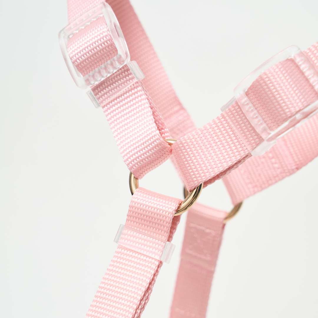 Ollie Walkies: Aero Paw - Rose Quartz (Harness)