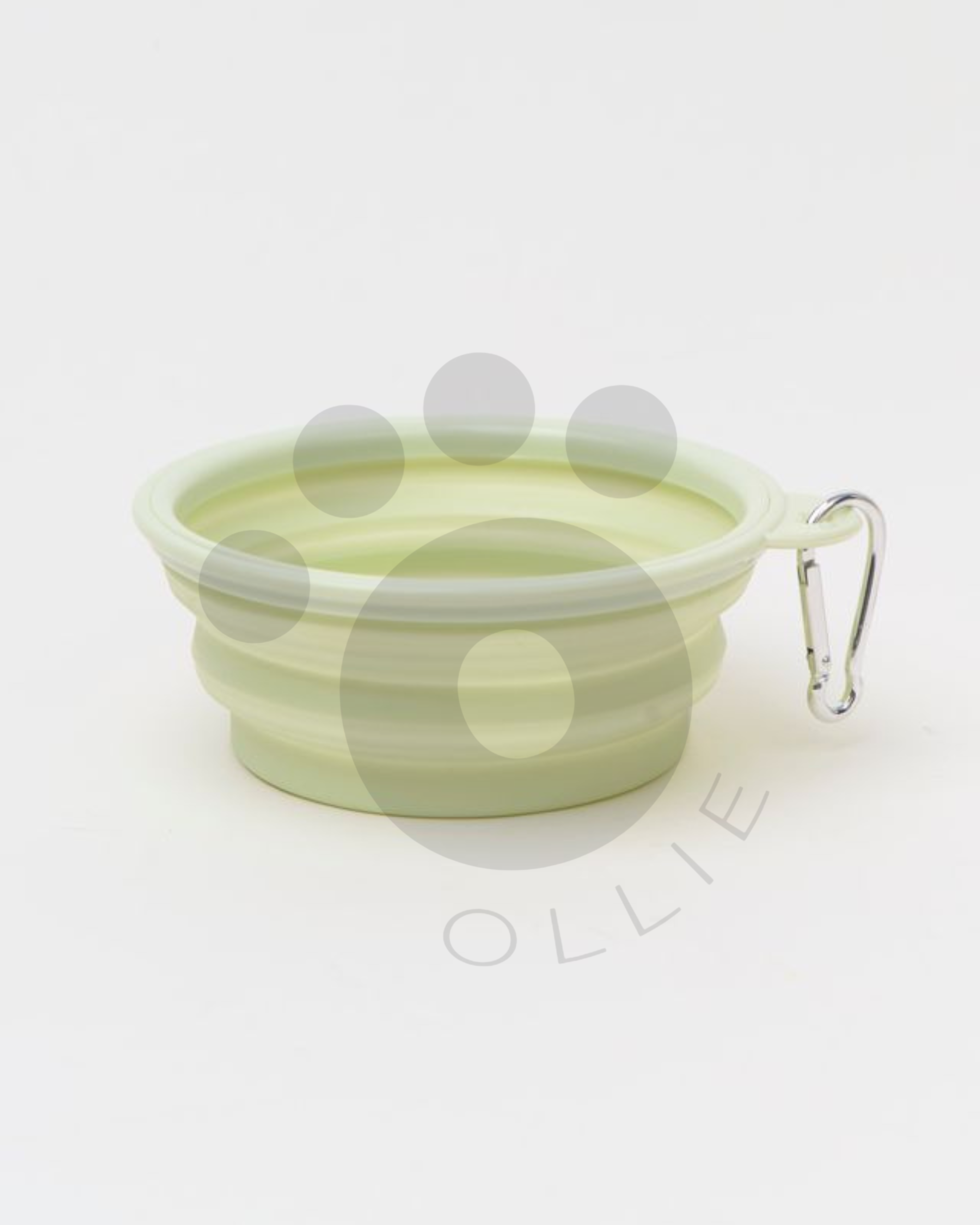 Ollie: Pop-Up Bowl