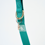 Ollie Walkies: Aero Paw - Collar and Leash  - Emerald