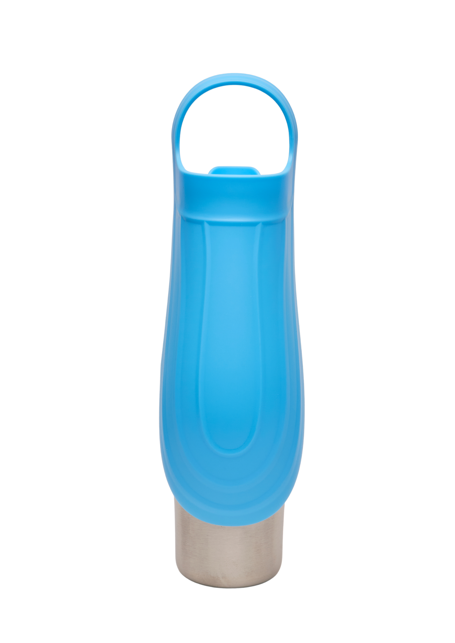 Ollie Dog Water Bottle: Green