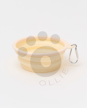 Ollie: Pop-Up Bowl
