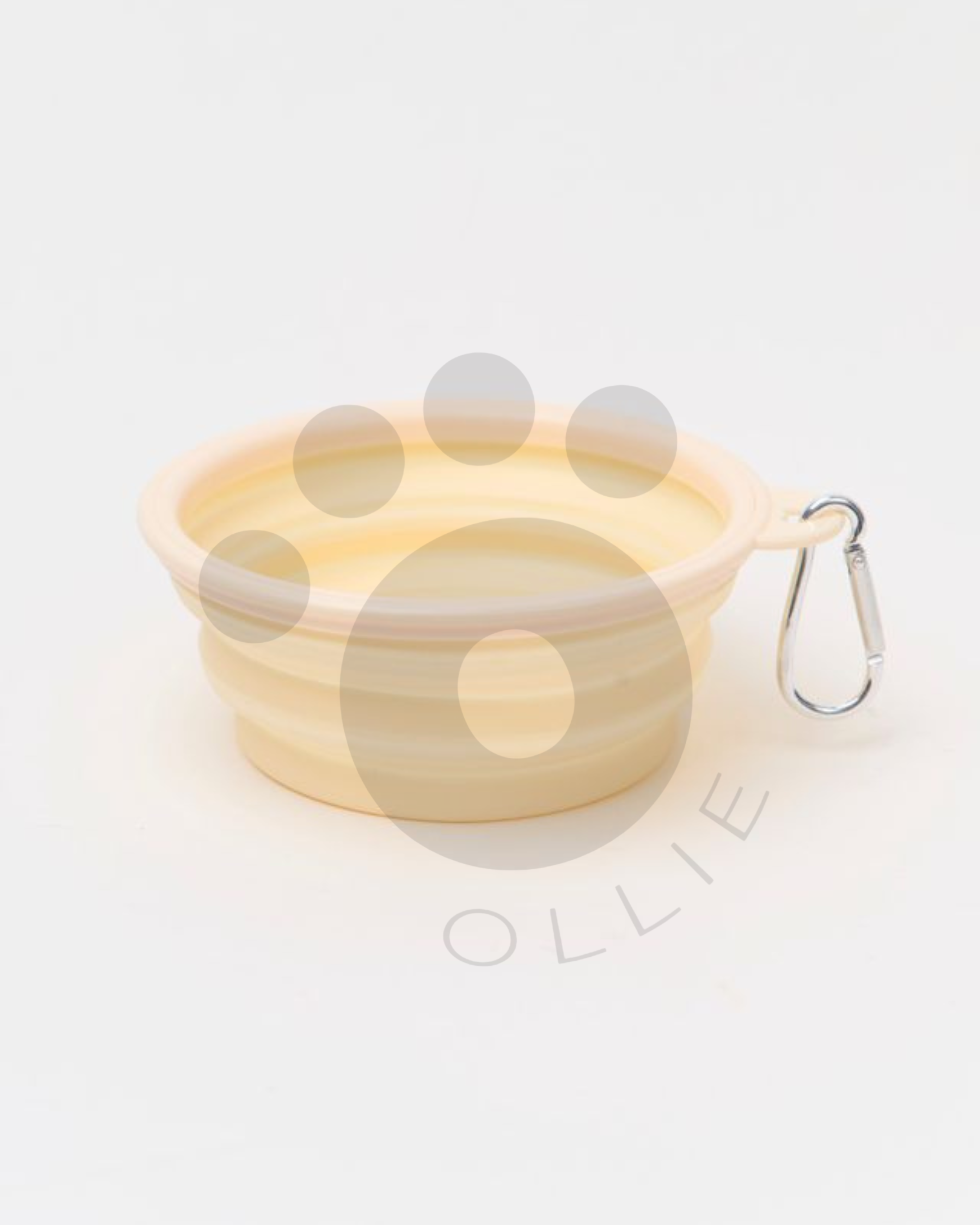 Ollie: Pop-Up Bowl