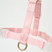 Ollie Walkies: Aero Paw - Rose Quartz (Harness)