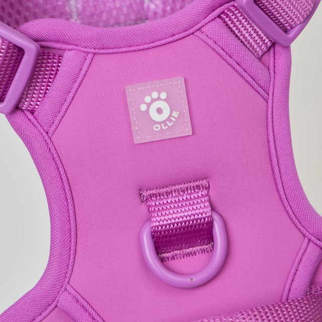 Ollie Walkies: Body Harness - Purple
