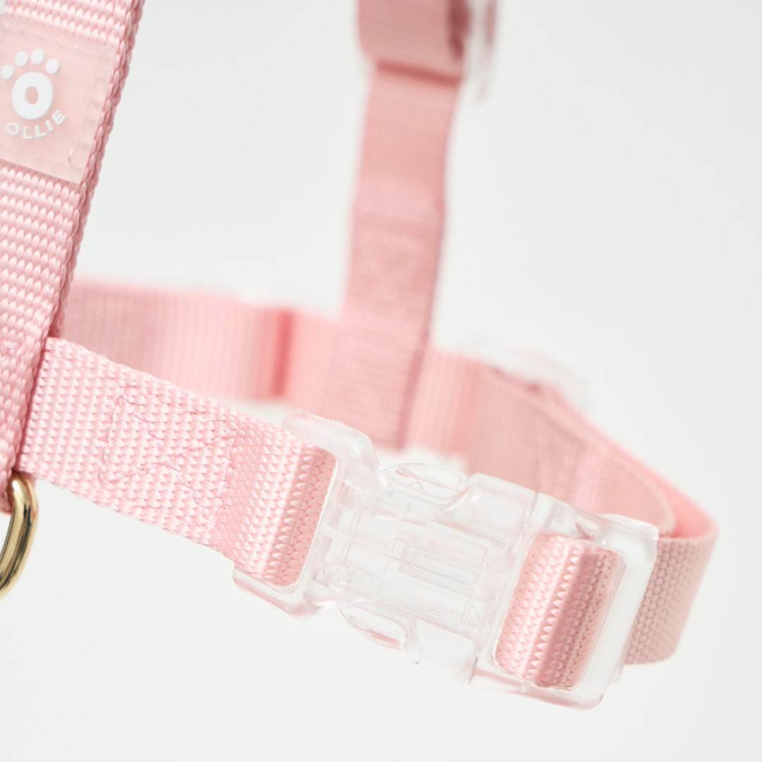 Ollie Walkies: Aero Paw - Rose Quartz (Harness)