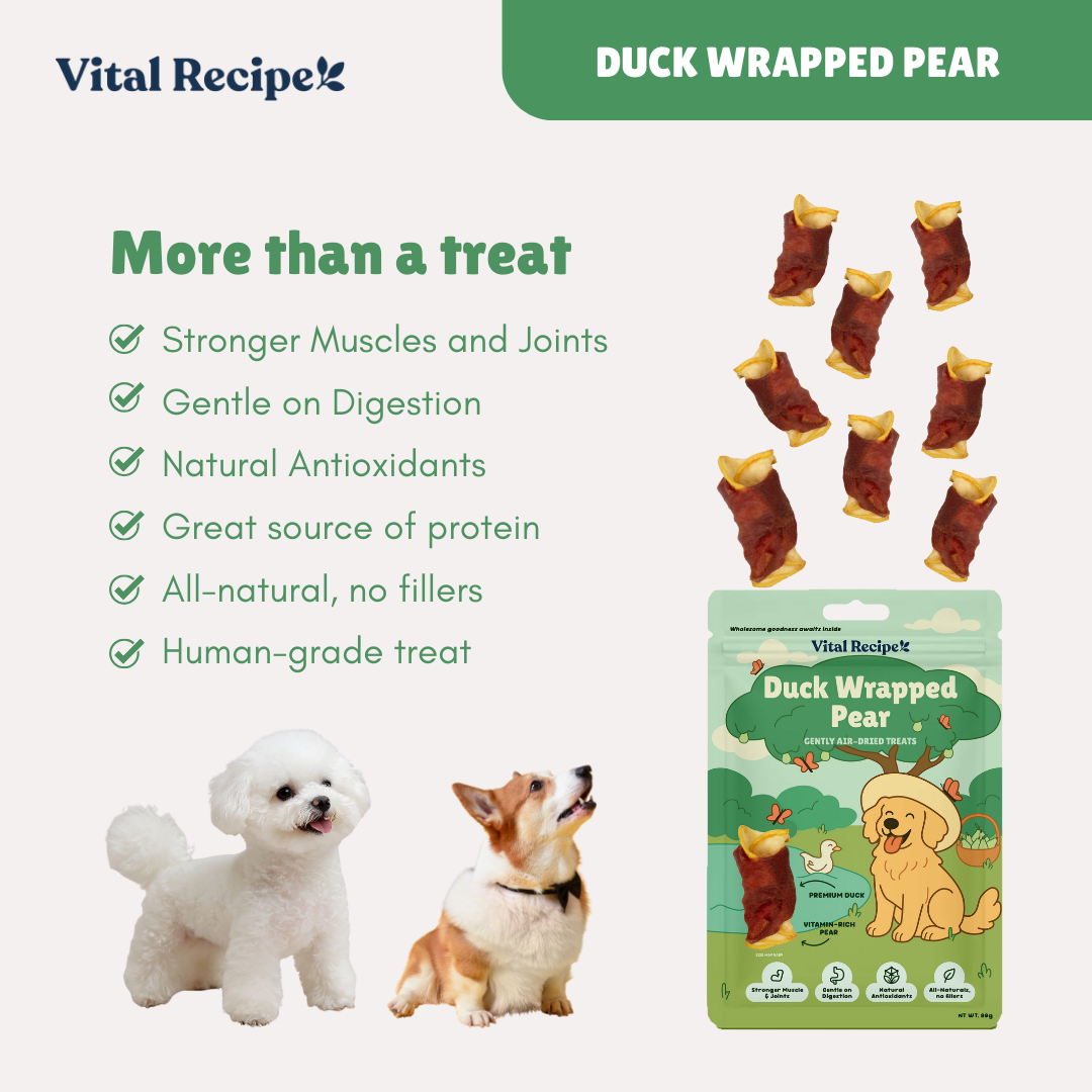 Vital Recipe - Duck Wrapped Pear