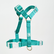 Ollie Walkies: Aero Paw - Harness and Leash Set - Emerald