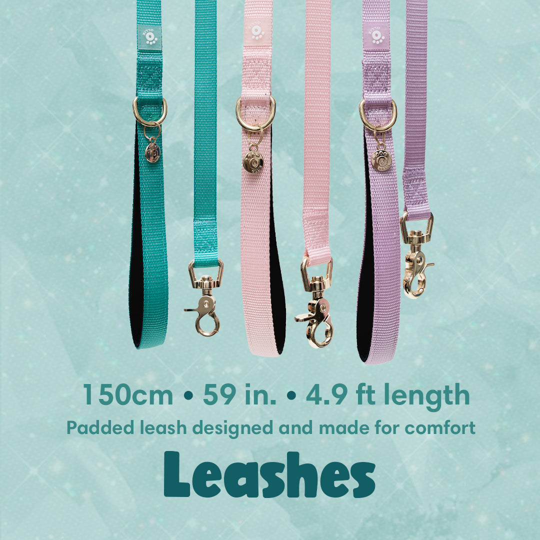 APSG_06_LEASHES.jpg