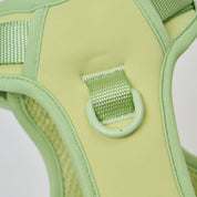 Ollie Walkies: Body Harness - Light Green