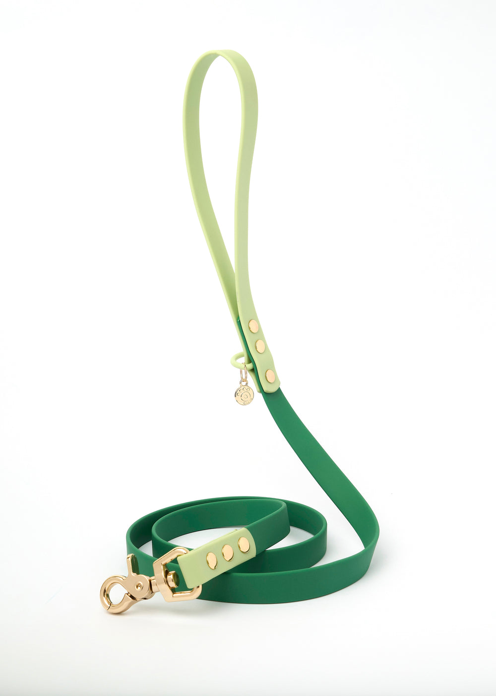 Ollie Walkies Classic - Collar and Leash Set - Seaweed