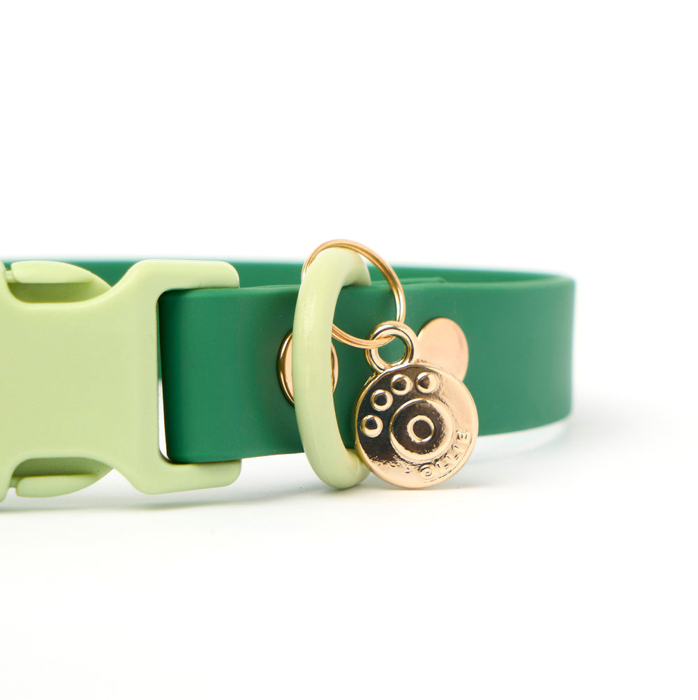 Ollie Walkies Classic - Collar and Leash Set - Seaweed