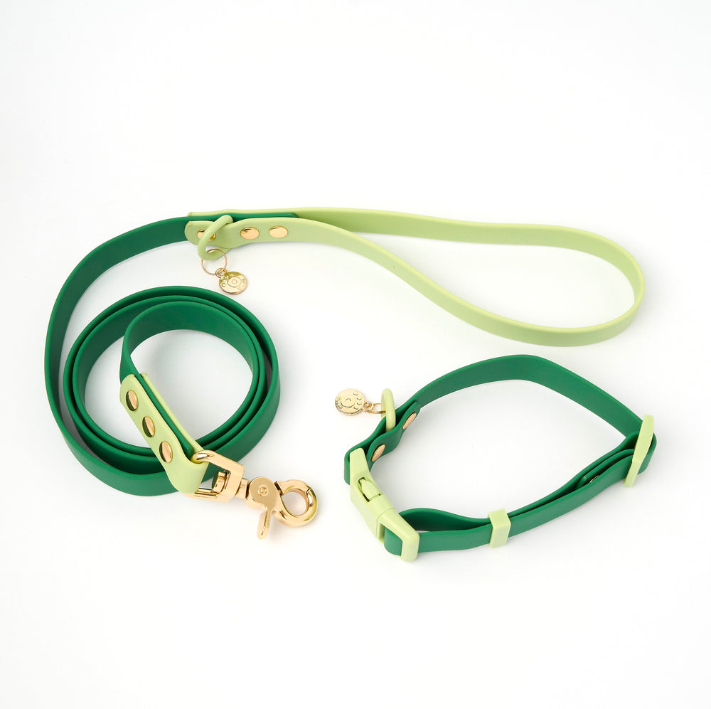 Ollie Walkies Classic - Collar and Leash Set - Seaweed