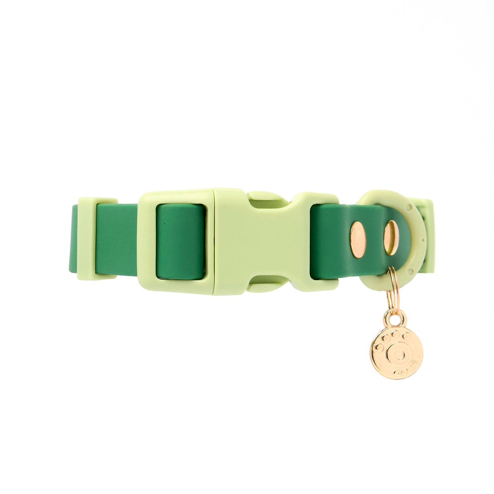 Ollie Walkies Classic - Collar and Leash Set - Seaweed