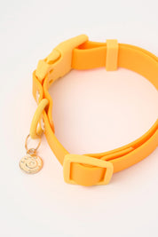 Ollie Walkies: Classic - Lemonade (Collar)