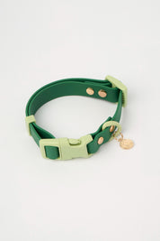 Ollie Walkies: Classic - Seaweed (Collar)