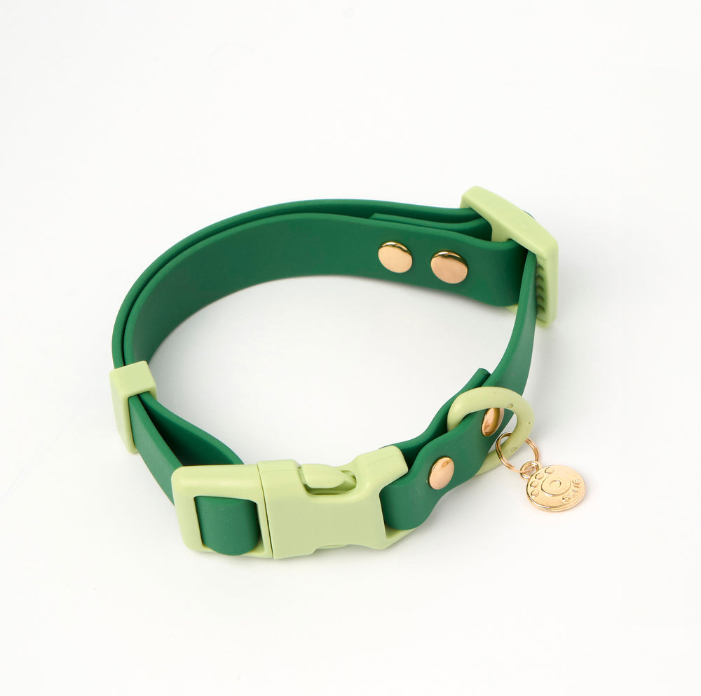Ollie Walkies Classic - Collar and Leash Set - Seaweed