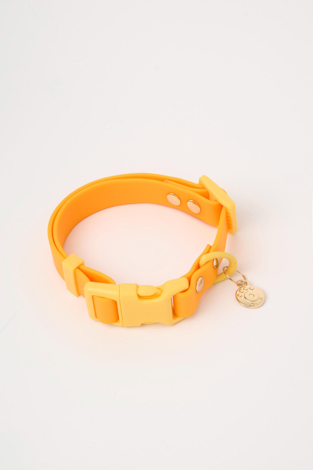 Ollie Walkies: Classic - Lemonade (Collar)