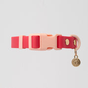 Ollie Walkies: Classic - Watermelon (Collar)