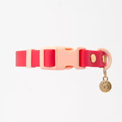 Ollie Walkies Classic - LARGE  - Full Set (Collar, Harness and Leash Set): Watermelon