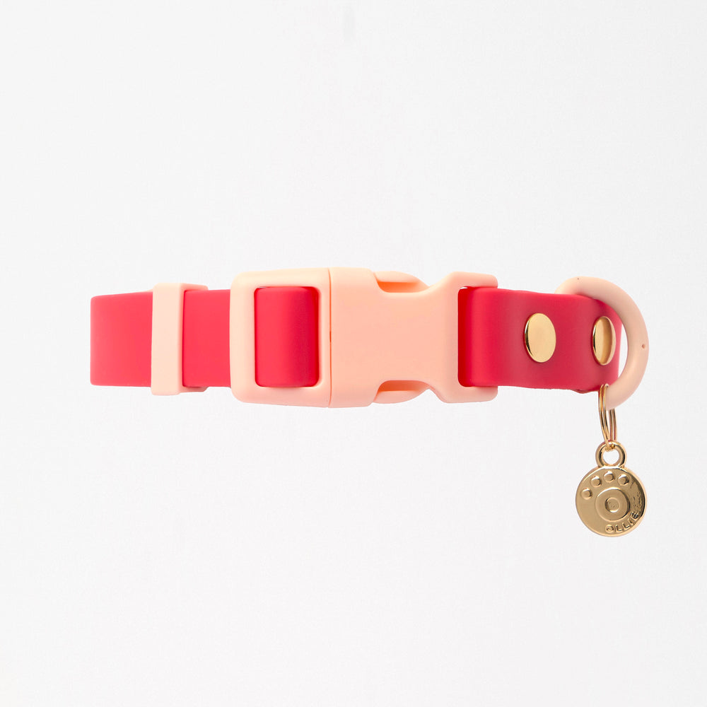 Ollie Walkies Classic - Collar and Leash Set - Watermelon