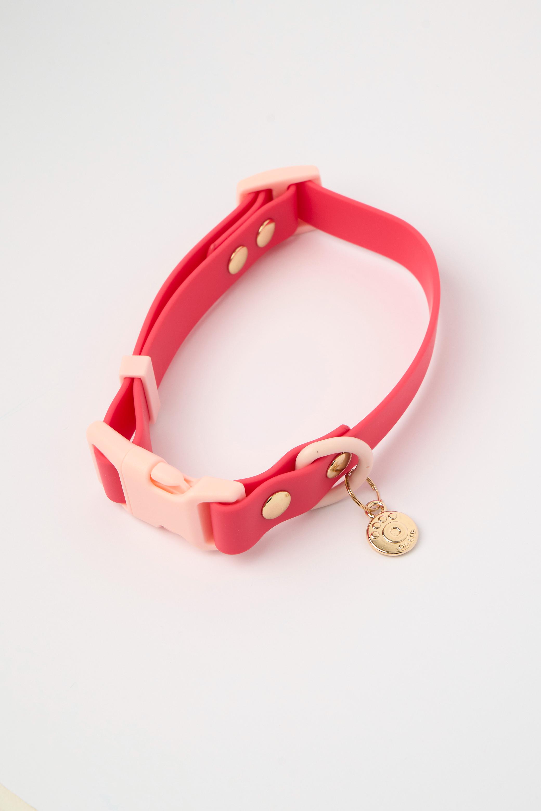 Ollie Walkies: Classic - Watermelon (Collar)