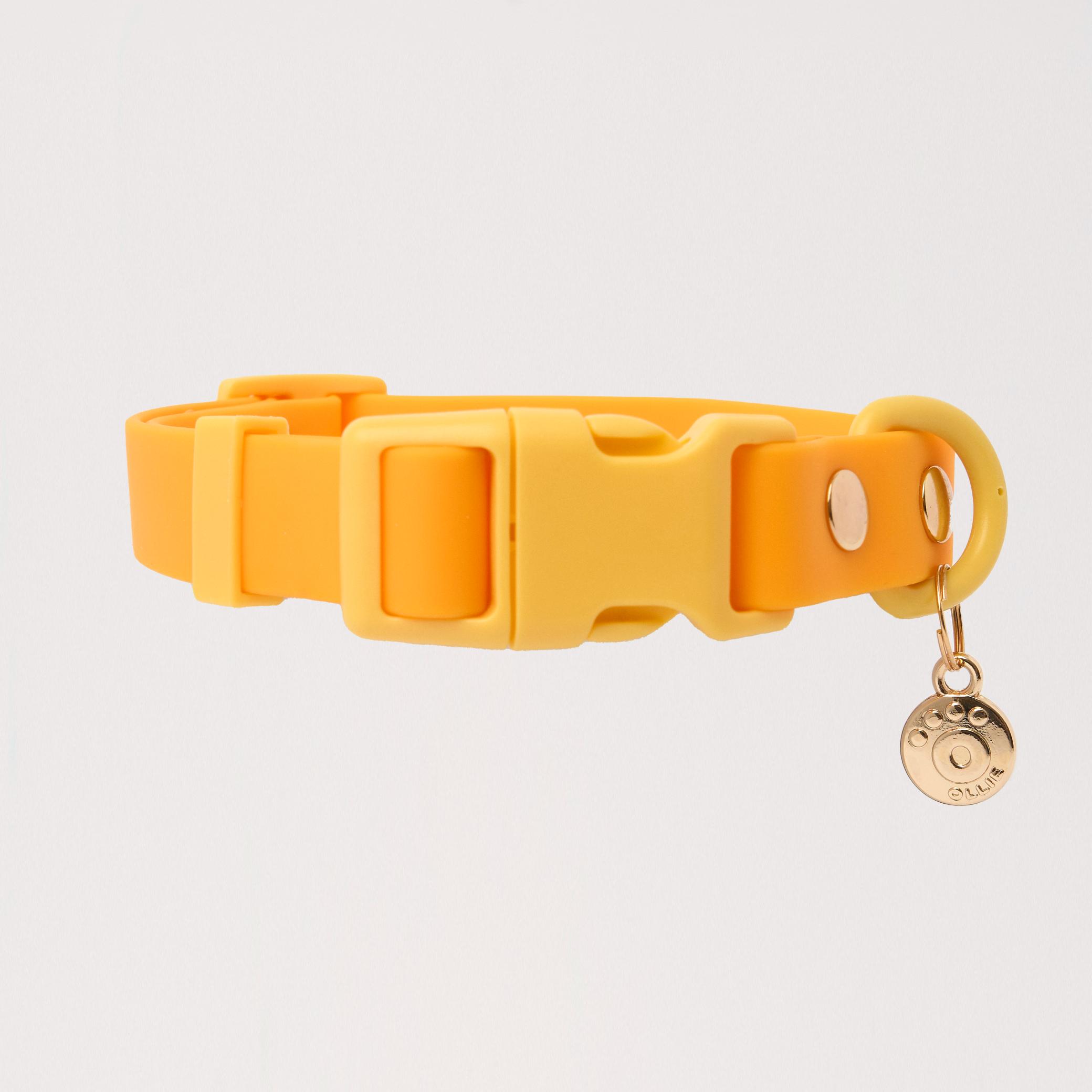 Ollie Walkies: Classic - Lemonade (Collar)